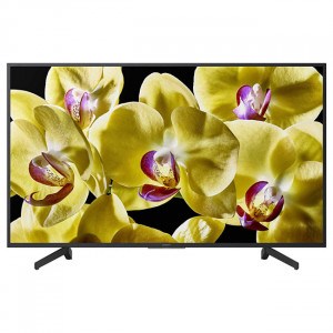 Телевизор Sony KD-49XG8096 (EU)